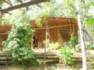 Photo hotel Little Folly