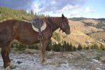 Photo hotel Casa Colinita