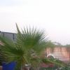 Photo hotel Riad Sekkat