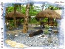 Photo hotel Coral Bay Resort