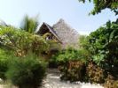 Photo hotel Pakachi Beach Hotel & Resort