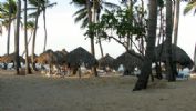 Photo hotel Sirenis Tropical Suites Casino & Spa