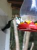 Photo hotel Au Jardin des Colibris