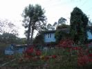 Photo hotel Spring Dale Resort