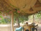 Photo hotel G�te L'Anacardier