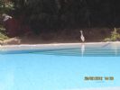 Photo hotel G�te L'Anacardier