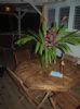 Photo hotel Au Jardin des Colibris