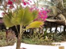 Photo hotel Hotel Mermoz