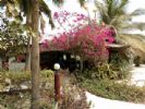 Photo hotel Hotel Mermoz