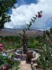 Photo hotel Solar del Tropico