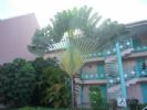 Photo hotel H�tel Marifa