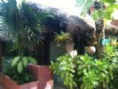 Photo hotel Cabanas la Conchita