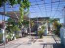 Photo hotel Casa particular Galia y Cesar