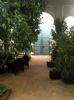 Photo hotel Riad Sekkat