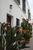 Photo hotel Hostal Gran Capitan