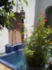 Photo hotel Riad Sekkat