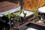 Photo hotel Riad Dar Najat