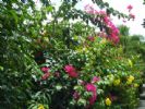 Photo hotel Casa Boubou