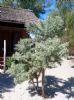 Photo hotel Ecolodge du Menabe