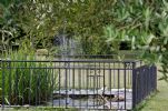 Photo hotel Aux Claires Fontaines