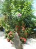 Photo hotel Domaine de Lizardy