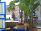 Photo hotel Riad Safi