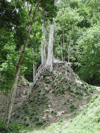 Pyramide enfouie � Tikal