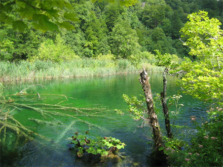 Les eaux turqoises de Plitvice