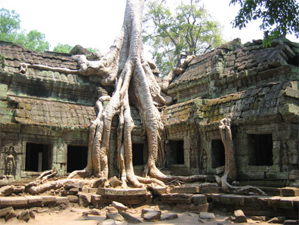 Les fromagers coulent sur les temples