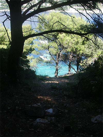 Ile de Lokrum