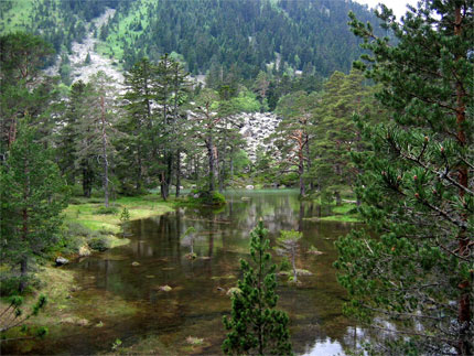 Petit lac de montagne