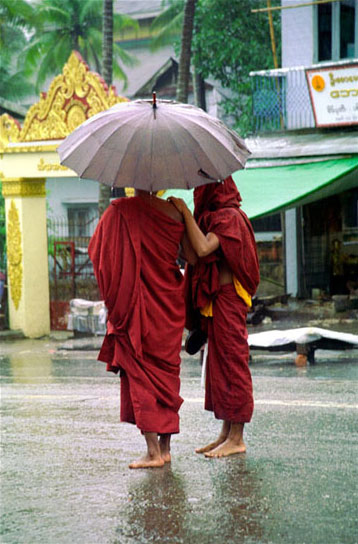 Moines sous la pluie