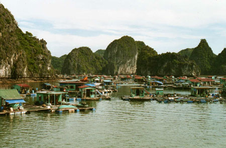Baie d'Along