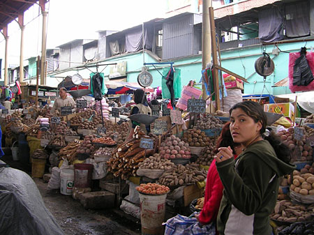 Elles sont belles mes patates !