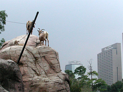 Mouflons dans la ville