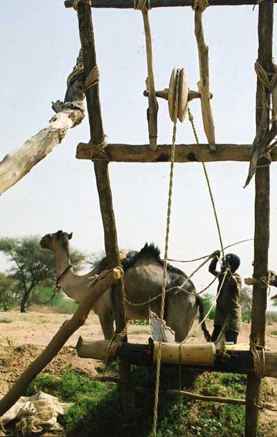 Puit � 15 km d'Agadez