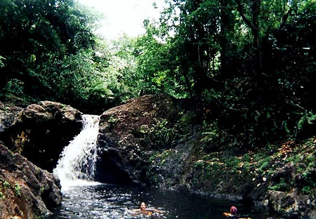 Parc Humboldt � 24 km de Baracoa