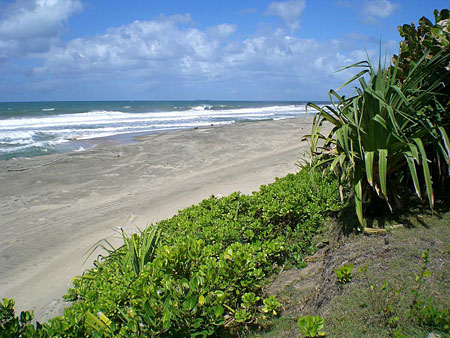 Plage entre Tamatave et F�n�rive