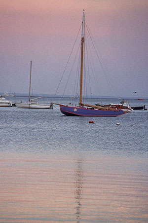 Bateaux � Arcachon