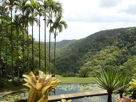 Jardins de Balata