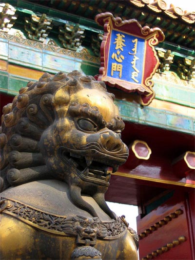 Lion dor�