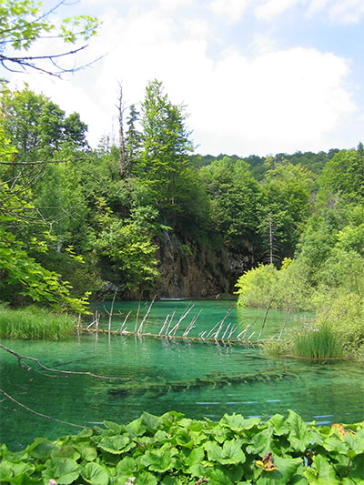 Eaux vertes