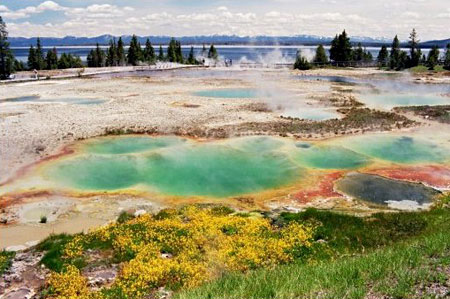 Geyser Basin (West Thumb)