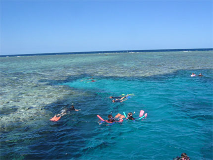 Snorkeling sur la Grand barri�re de Corail
