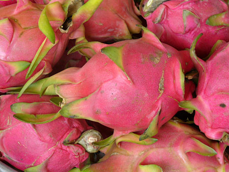 Fruit du dragon � Can Tho
