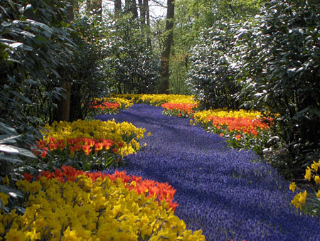 Parc floral de Keukenhof