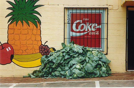 Chou et Coca Cola