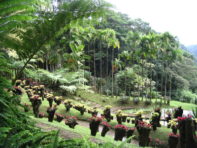 Le jardin de Balata