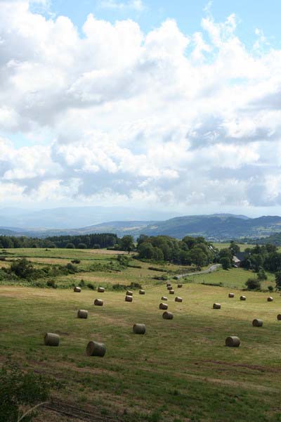 Sur les chemins du Sancy
