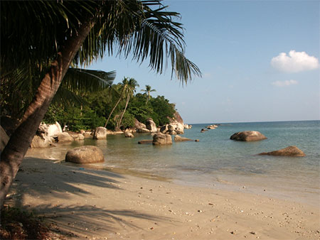 Plage paradisiaque